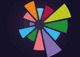 Image of coloured segments radiating from a central point