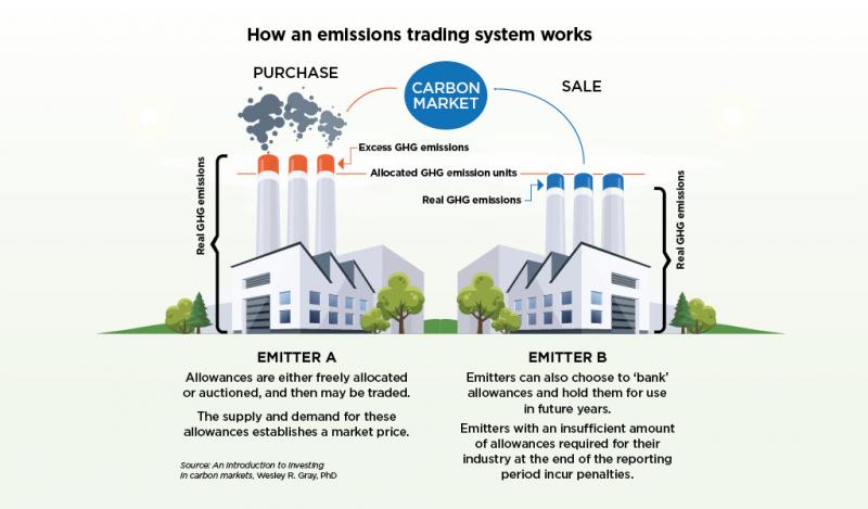 Carbon credit graphic