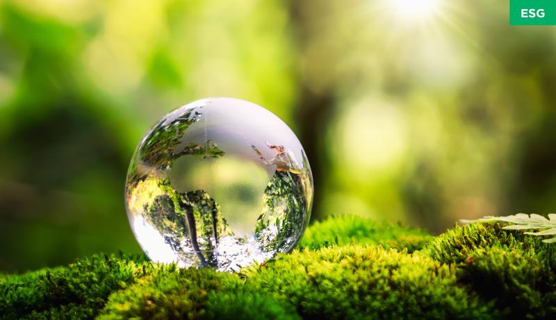 Glass globe sitting on green land