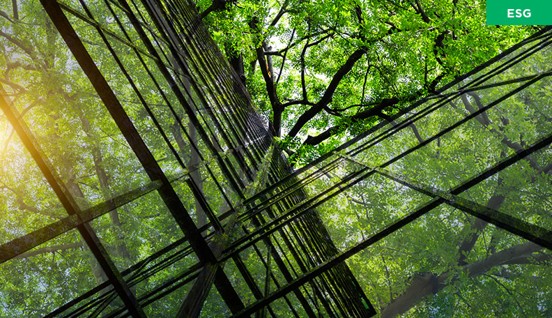 Trees and greenery around an office building