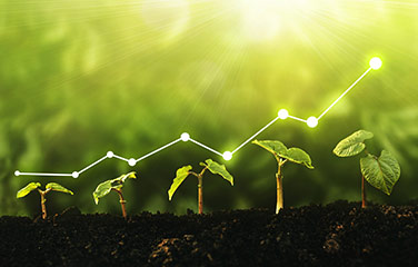Image of green plants with upward graph line