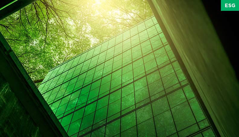 Image of a building, looking up from a courtyard at trees above