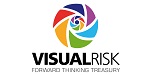 VisualRisk