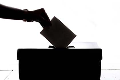 Council election results