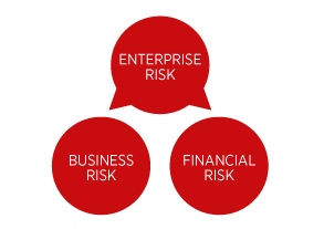 Enterprise Risk Business risk Financial risk