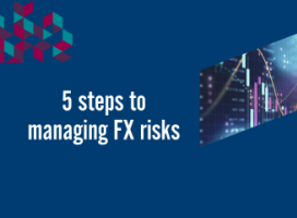 FX risk