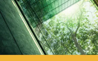 Treasury and cash management qualifications, The Certificate in Sustainable Finance
